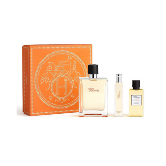 TERRE D'HERMES EDT 100ML SET